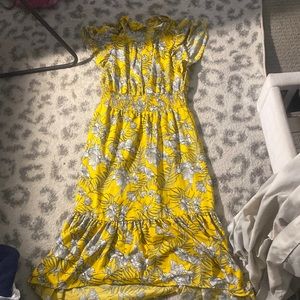NWT walter baker dress